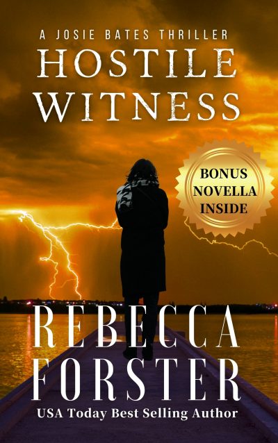 Hostile Witness by Rebecca Forster